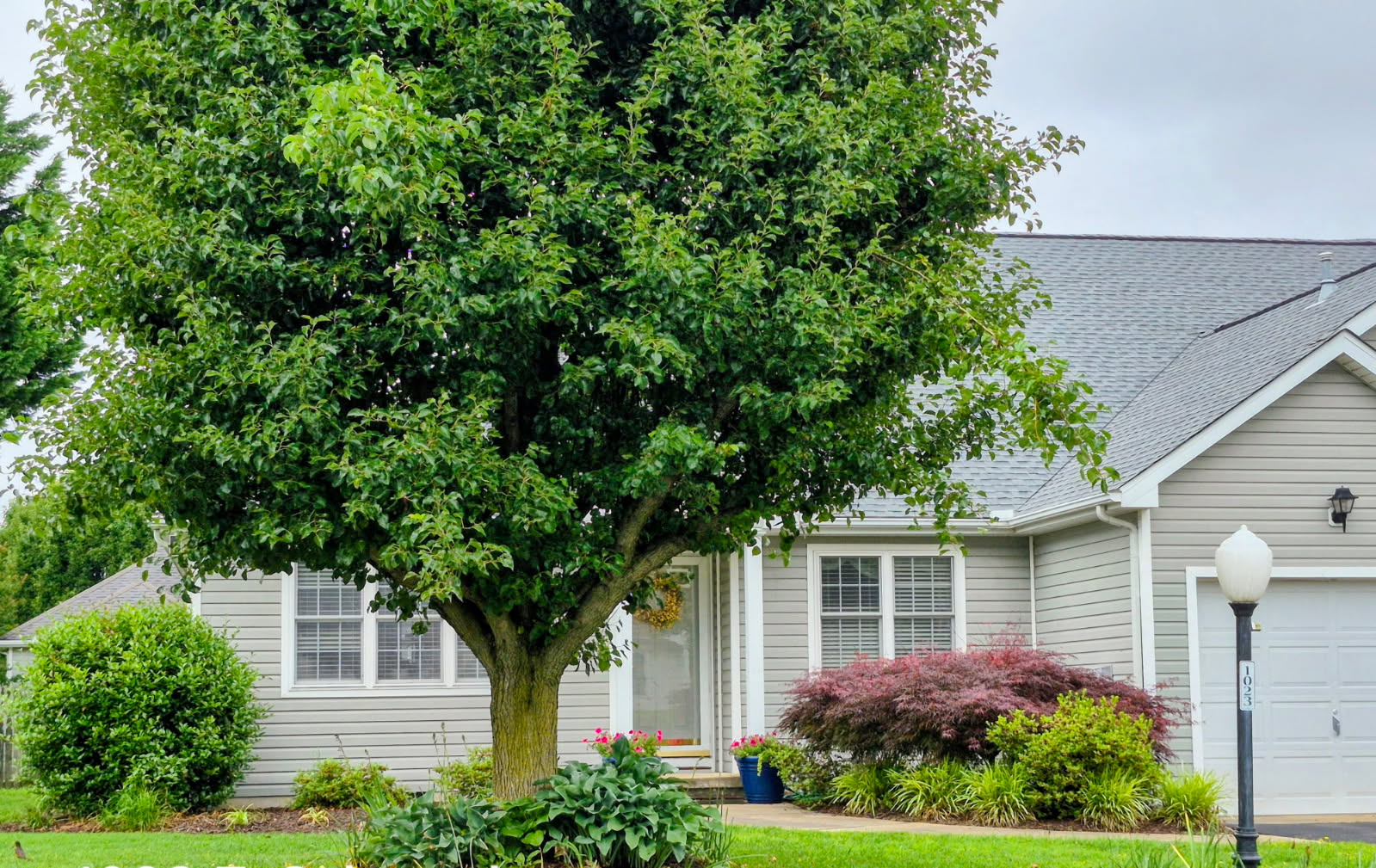 1023 East Schumaker Manor Drive - 1